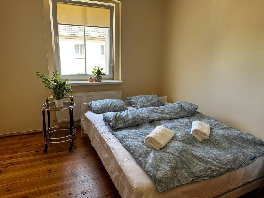 Apartamento Jelenizen Jelenia Góra Exterior foto